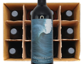 2019 Endless Wave Case Special